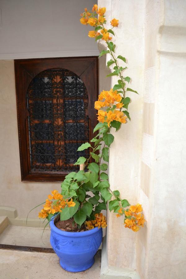 Riad Riva Marraquexe Exterior foto